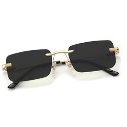 Hampton Transition Black | Gold
