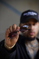 Diamond Cut Willow Smoke | Black