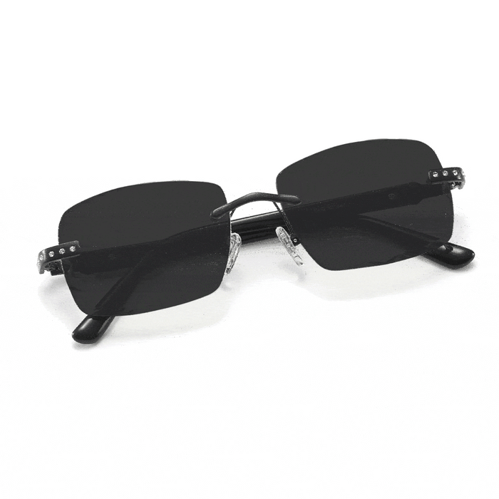 Palmeira Transition Black | Stealth