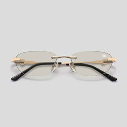 Rae Transition Brown | Gold