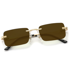 Hampton Transition Brown | Gold