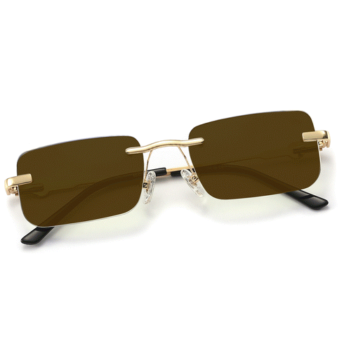 Hampton Transition Brown | Gold