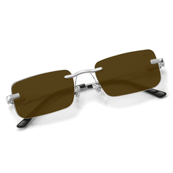 Hampton Transition Brown | Silver